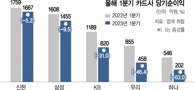 사진 설명