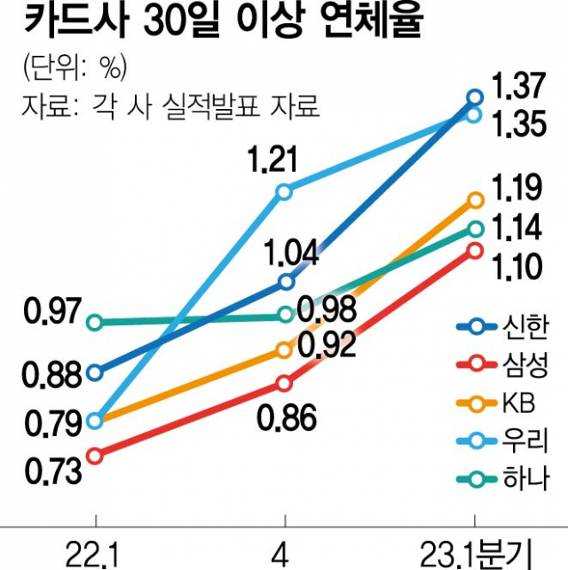 사진 설명