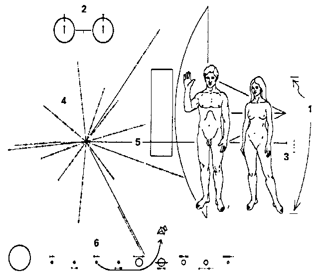 파이어니호에 실린 인류의 생김새와 태양계, 지구의 위치를 담은 그림. 사진 제공=나사