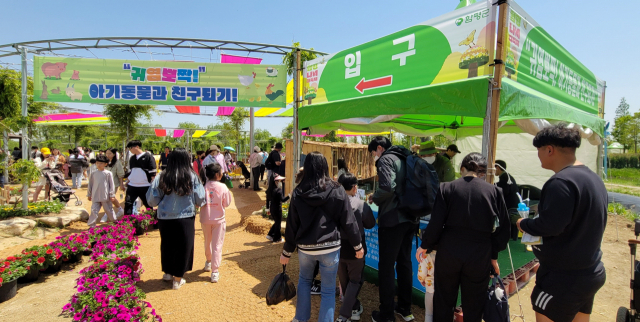 흥행 몰이에 성공 하고 있는 전라남도의 대표 축제 ‘제25회 나비대축제’ 축산 프로그램 일환인 ‘귀염뽀짝 아기동물과 친구되기’에 관람객들의 발길이 이어지고 있다. 사진 제공=함평군