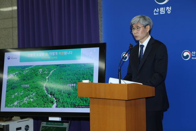 산불피해지 소나무 심어달라…산림소유자 84.6%