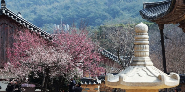 경남 양산시에 위치한 통도사의 모습. 양산=연합뉴스