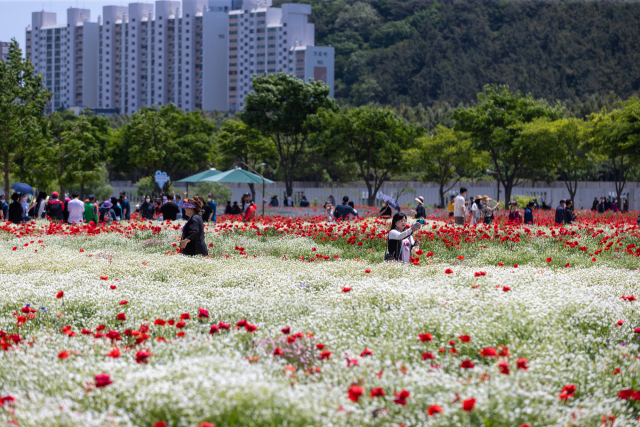 2022년 울산 태화강국가정원 봄꽃축제. 사진제공=울산시