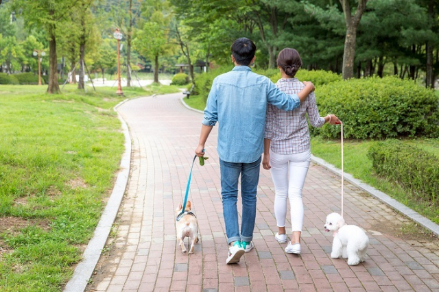 '2200만분의 1'의 기적…반려견 덕에 장기기증자 찾았다