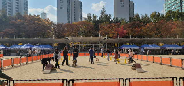 '반려동물과 마음껏 뛰어노세요' 안양시, 찾아가는 이동식 놀이터 운영