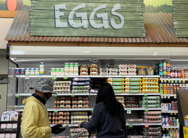 미 캘리포니아주 산 라파엘의 한 마트에서 손님들이 계란을 고르고 있다. AFP연합뉴스
