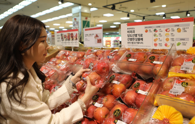 고객이 롯데마트 서울역점에서 AI 선별 사과를 고르고 있다. /사진제공=롯데쇼핑