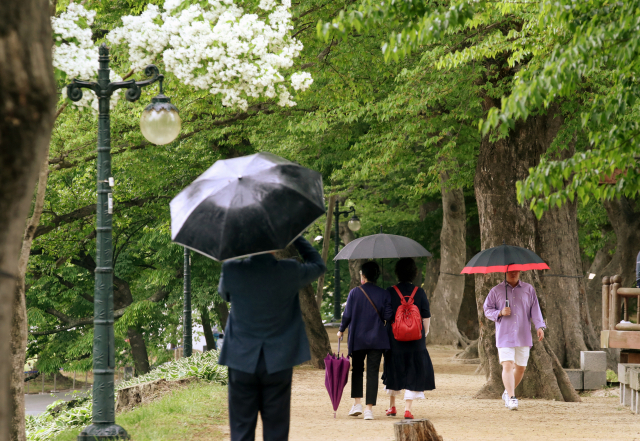 4일 전남 담양관방제림에서 시민들이 우산을 쓰고 산책하고 있다. 연합뉴스