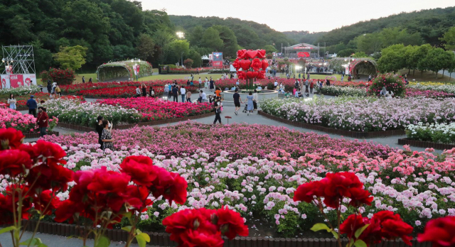 지난해 울산대공원 장미원에서 열린 14회 장미축제. 사진제공=울산시