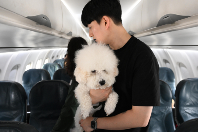 19일 오후 김포국제공항에서 반려견과 보호자들이 반려동물 여행플랫폼 '반려생활'에서 출시한 '댕댕이 제주 전세기'에 탑승하고 있다. 공항사진기자단 2023.05.19