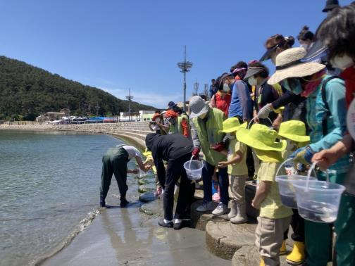 부산 연안 일대에 어린 감성돔 21만 마리와 넙치 12만 마리가 방류된다. 사진은 지난해 사하구 다대포 일원에서 열린 넙치 방류 행사 모습./사진제공=부산시 수산자원연구소