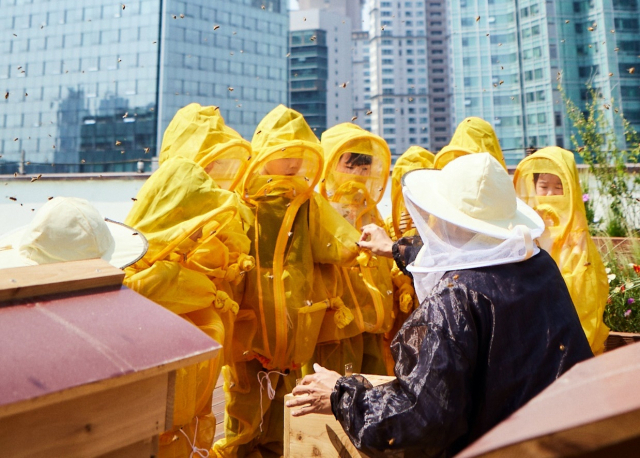 KB국민은행 직원 가족들이 서울 여의도 KB국민은행 본관 옥상에 조성된 ‘K-Bee 도시 양봉장’을 방문해 양봉 상자와 꿀벌을 보고 있다. 사진 제공=KB국민은행