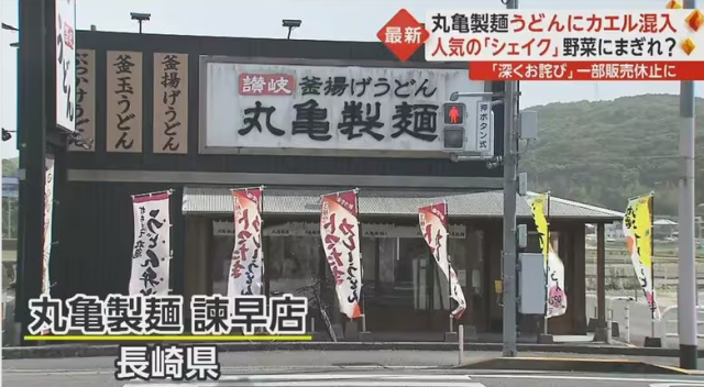 ‘개구리 컵우동’을 판매한 나가사키현의 마구라메제면 이사하야점. FNN프라임 온라인 방송화면 캡처