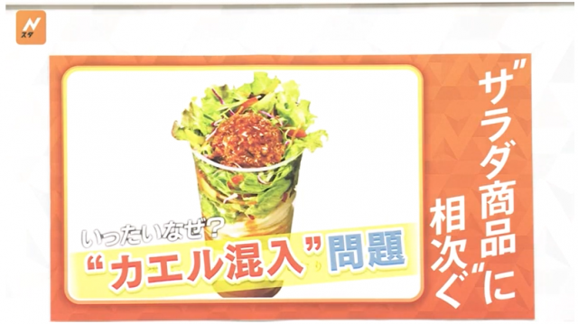 간편함으로 큰 인기를 끌고 있는 일본의 샐러드 컵우동. TBS 방송화면 캡처