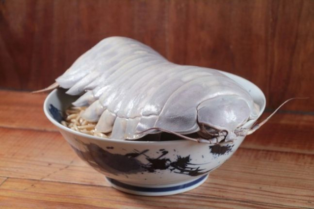 대만의 한 식당이 '바다의 바퀴벌레'라고 불리는 심해등각류 라멘을 판매한다. 사진=라멘소년 SNS 캡처