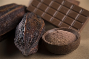 초콜릿 원료 카카오…건강에 이로운 6가지 효과는 무엇? [헬시타임]