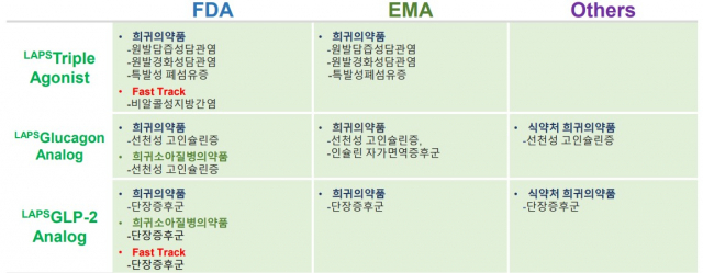 한미약품이 개발 중인 GLP-1 기반 바이오신약 파이프라인의 희귀의약품 지정 현황. 사진 제공=한미약품