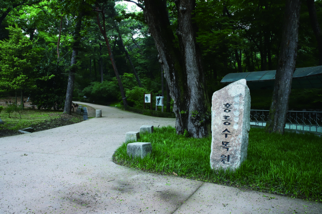 국가산림문화자산 제1호 홍릉숲. 사진제공=산림청