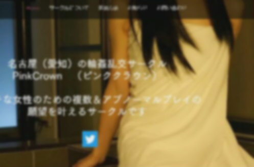 회원수가 800여명에 달하는 것으로 알려진 일본의 ‘난교 파티’ 조직의 홈페이지. 나고야TV 보도화면 캡처