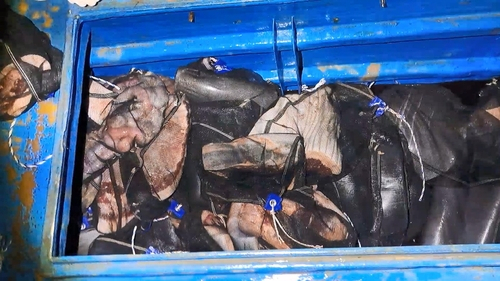 불법 포획 고래 1.4톤 운반책 3명 체포…해경, 포획·유통책 추적
