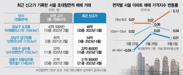 타워팰리스 49억…서울 대형 아파트는 더 오른다[집슐랭]