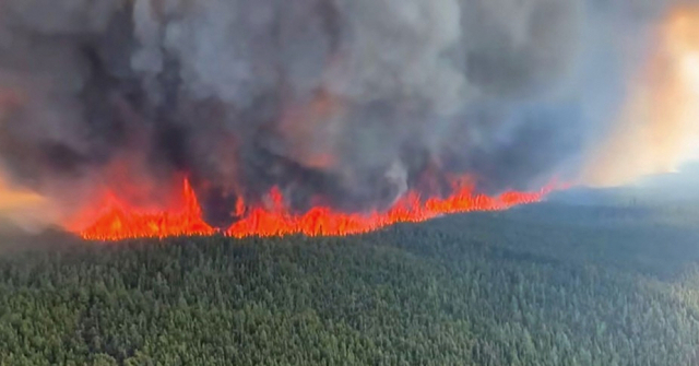 캐나다 동부에서 시작된 산불이 서부 브리티시 컬럼비아주로 옮겨진 가운데 텀블러 리지 마을의 숲이 불에 타고 있다. AFP=연합뉴스
