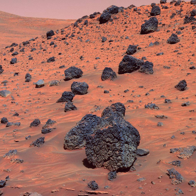 스피릿이 촬영한 화성의 모습. 사진제공=나사