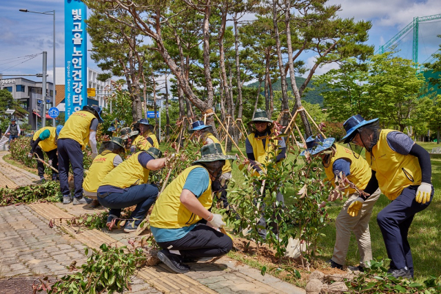 HDC현대산업개발 임직원들이 광주에 위치한 노인 여가문화 시설 빛고을노인건강타운에 나무를 심는 봉사활동을 진행하고 있다. 사진제공=HDC현대산업개발