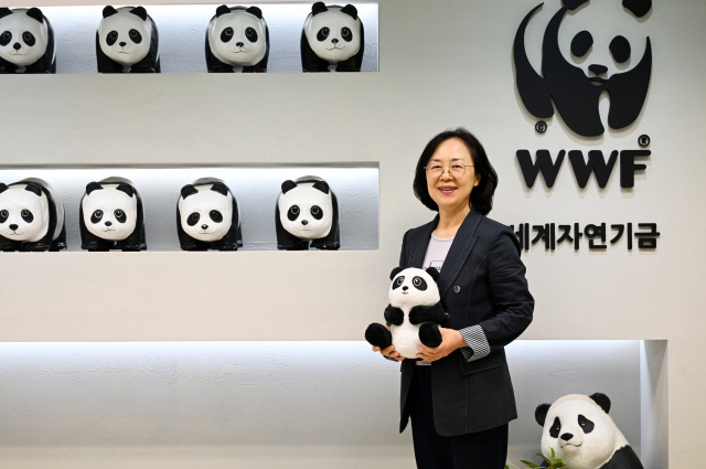 홍윤희 사무총장이 13일 WWF의 마스코트인 팬더 인형을 들어보이고 있다. 권욱 기자