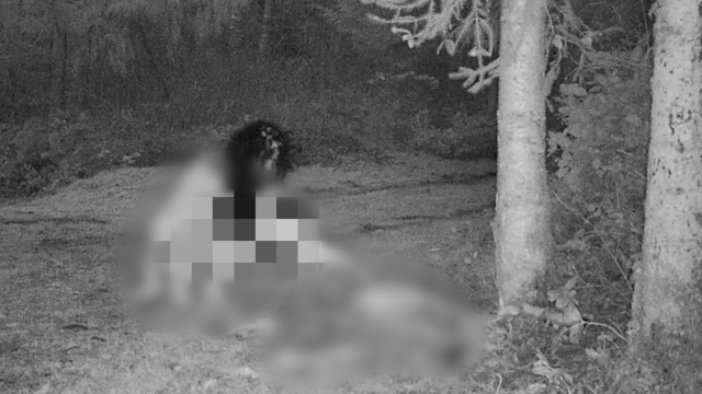 죽은 사슴 찾아 뜯어 먹는 나체 여성들 사진에 캐나다 발칵