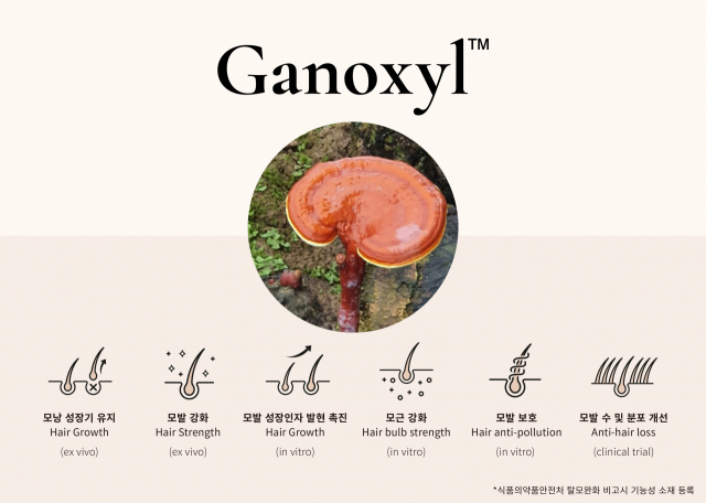 코스맥스, 영지버섯 추출물 특허 성분으로 ‘M자 탈모’ 고민 해결