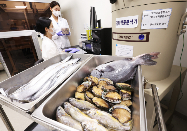 15일 경기도 수원에 자리한 경기도보건환경연구원에서 농수산물검사부 농수산물안전성검사팀 연구원이 모니터를 보며 수산물 방사능 안전성 검사를 하고 있다. 연합뉴스