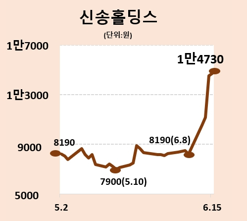 천일염 품귀 현상에 널뛰는 소금 테마주