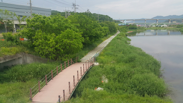 용인시 처인구 포곡읍 수변공간. 사진 제공 = 용인시