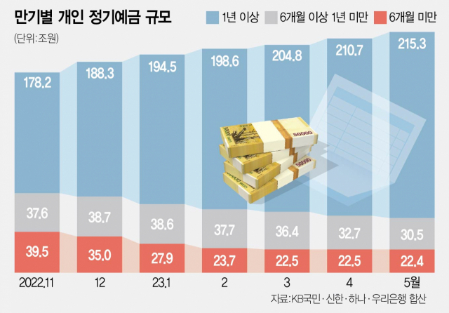 사진 설명