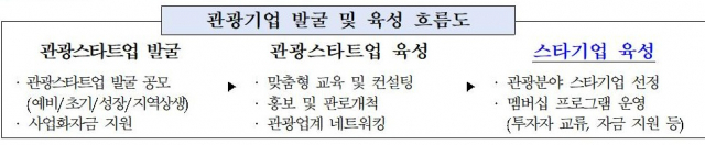 부산 관광 스타기업 발굴 및 육성 흐름도. 사진제공=부산시