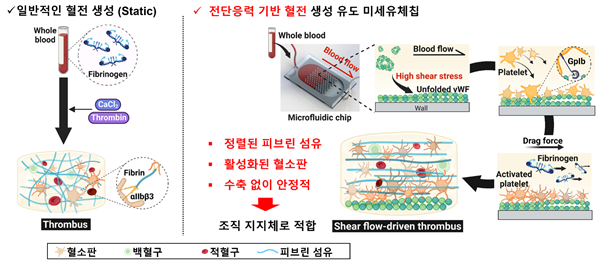 미세유체기술을 통해 IVET를 제작하는 원리와 특성. 그림제공=UNIST