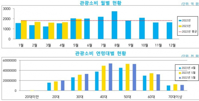 관광소비 월별 연령대별 현황. 사진 제공=강원도