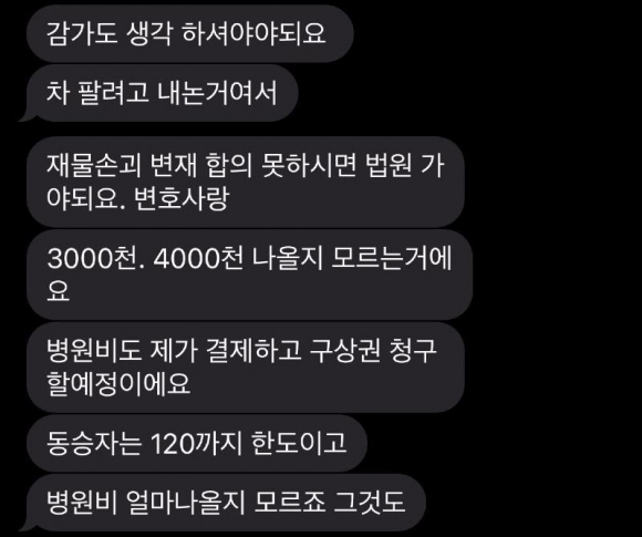 포르쉐 차주가 수리비로 3000만~4000만원과 함께 병원비까지 청구했다는 문자메시지. 온라인 커뮤니티 캡처