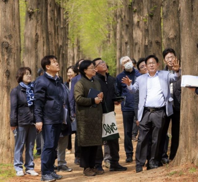 마포구 제공