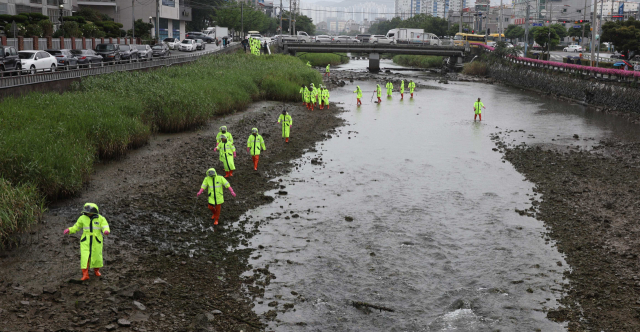 '사라진 영아들' 출생미신고 수사 1000건 육박…사망34명, 행불 782명 (종합)