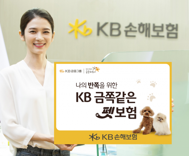 KB손해보험 모델이 ‘KB 금쪽같은 펫보험’ 상품을 소개하고 있다./사진 제공=KB손해보험