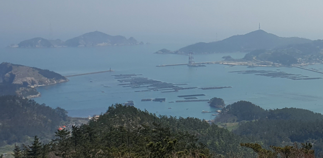 흑산공항 개항 발맞춘 흑산도의 화려한 변신…고질적 양식시설 문제 해결