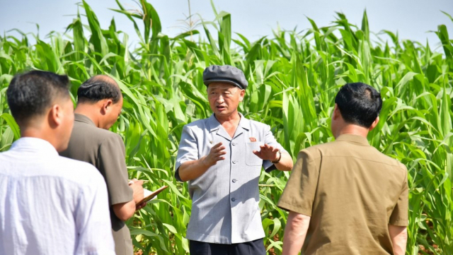 폭우경보 초긴장 북한…“알곡 생산, 하늘이 무너져도 해내야”