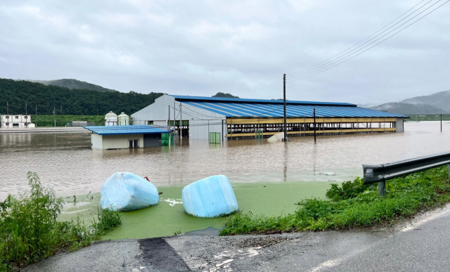 대전세종충남 폭우에 6명 사망·실종…농경지 3200㏊ 침수