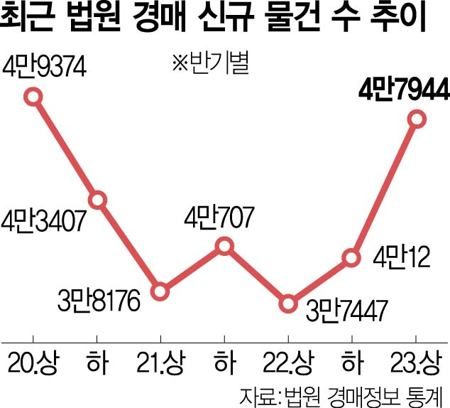 사진 설명