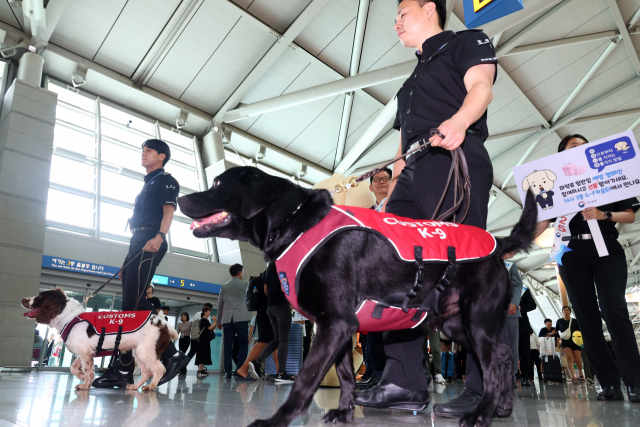 25일 인천국제공항 제1여객터미널 출국장에서 열린 상반기 마약단속 동향 발표 및 마약류 밀반입 예방 캠페인에서 마약 탐지견이 마약 탐지 시연을 하고 있다. 영종도=권욱 기자 2023.07.25