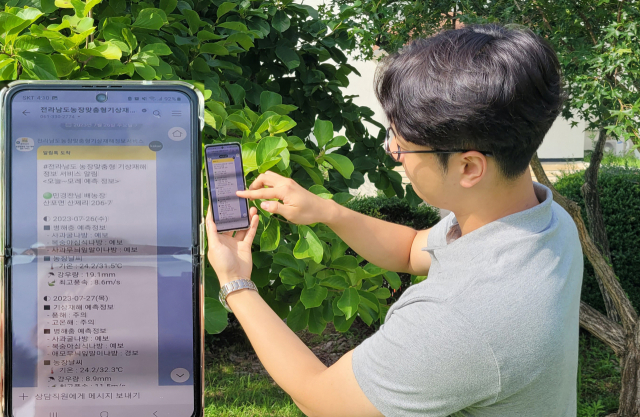 전남도 농장 맞춤형 기상재해 정보서비스 알림톡. 사진 제공=전남도농업기술원