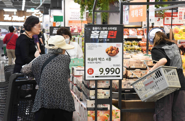 지난 27일 서울 강서구의 홈플러스 메가푸드마켓 강서점을 찾은 고객들이 장을 보고 있다./사진 제공=홈플러스