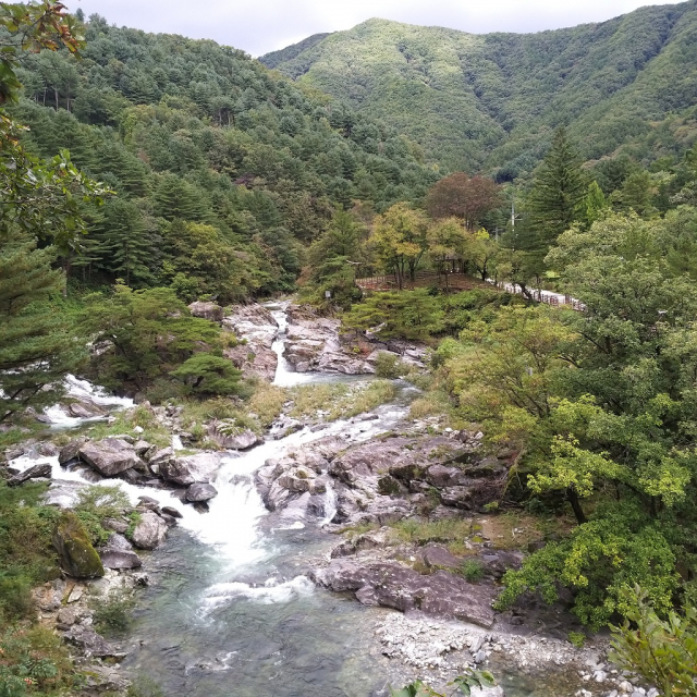 산림청이 명품숲길로 선정한 연인산 명품 계곡길 주변 풍경. 사진 제공 = 경기도